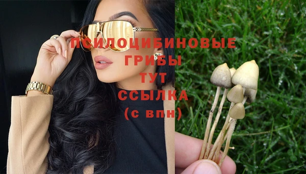 метадон Щучье